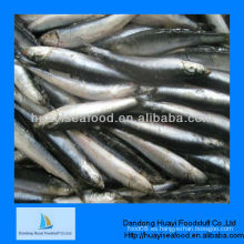 Pescado de anchoa congelado
